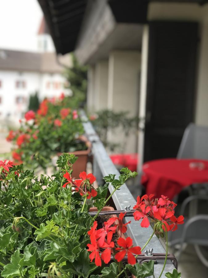 Bed And Breakfast Krone Schellenberg Dış mekan fotoğraf